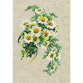 582 Dasies 23 x 30 cm