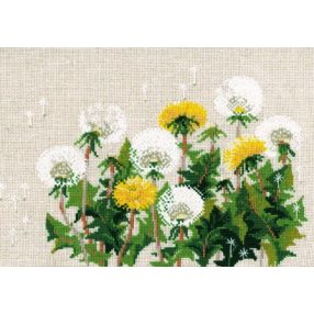 807 Dandelion 22 x 30 cm