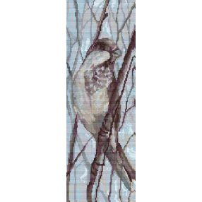 Z4289 Bird 15 x 43 cm