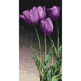 Z4446 Violet tulips 25 x 46 cm