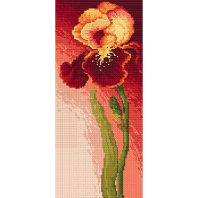 Z4690 Beautiful Iris 15 x 32 cm