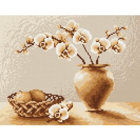 Z4816 Orchids 20 x 24 cm