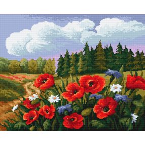 Z788 Summer meadow 32 x 41 cm