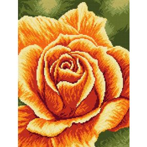 Z4150 Rose 25 x 32 cm