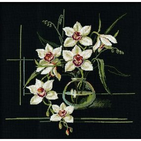 941 White Orchids 40 x 40 cm