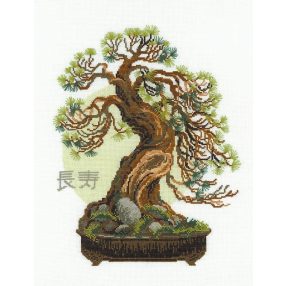 1037 Bonsai I 35 x 45 cm