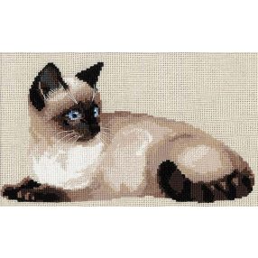 1066 Tammy 38 x 26 cm