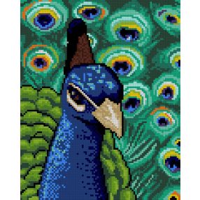 1103 Peacook 24x30 cm