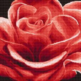 Z4284 Red rose 33x33 cm