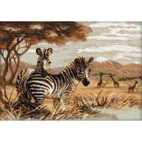 1143 The zebras in the Savannah 40x30 cm