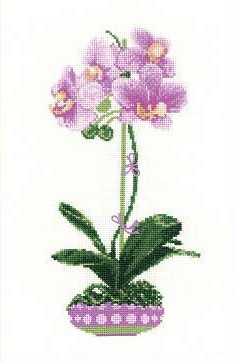 1163 Lila orchidea 21x30 cm