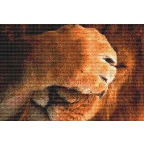 CRC - Szégynelős oroszlán