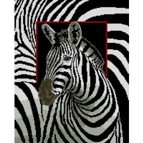 6083 Zebra 40x50 cm