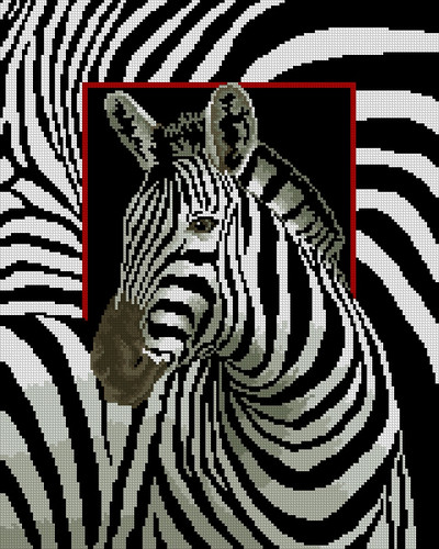 6083 Zebra 40x50 cm