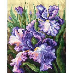 4482 B.Sikora-Mayjurek - Pasztell íriszek 24x30 cm