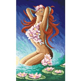 8217 Act with nenumfars 30x50 cm