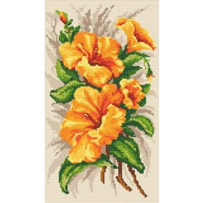 8230 Hibiszkusz 20x36 cm