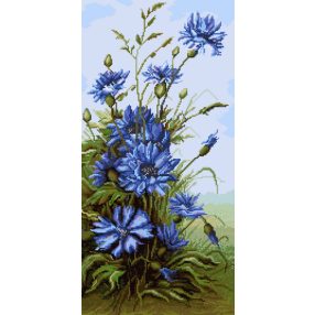 7073 Búzavirágok 30x61 cm