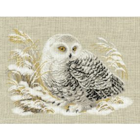 1241 White Owl 45x35 cm