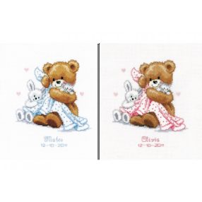PN-0011901 Teddy and Blanket Birth Sampler 20x22 cm