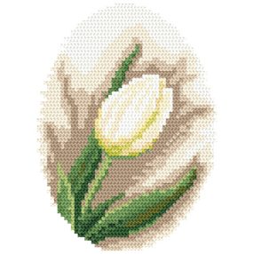 8417 Fehér tulipán 13x17 cm