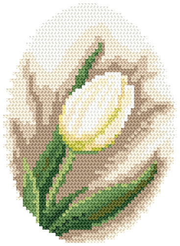 8417 Fehér tulipán 13x17 cm