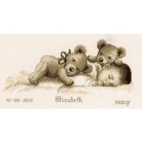 PN-0143730 Baby Sleeps Birth Sampler 30x16 cm