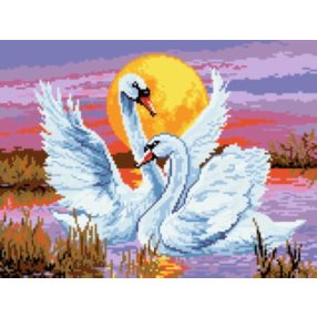 3035 Swans 30x40 cm