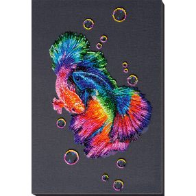 AB822 Rainbow dance 29x41 cm