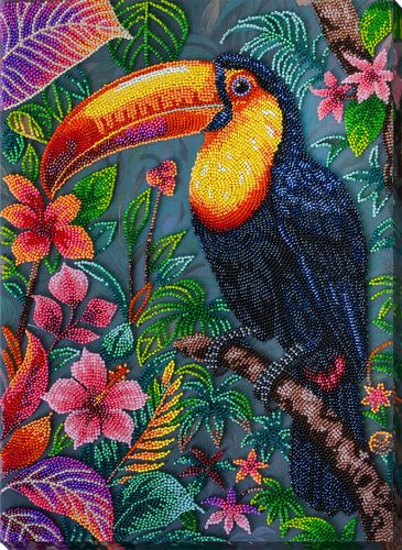 AB949 The Exotic Beau 27x39 cm