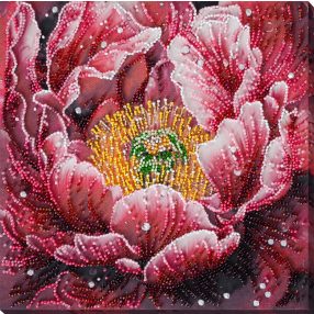 AB951 Dew's Kiss 23x23 cm