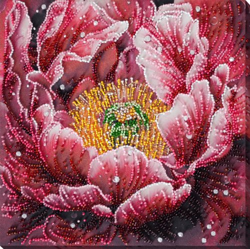 AB951 Dew's Kiss 23x23 cm