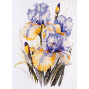 AH142 Irises 21x30 cm