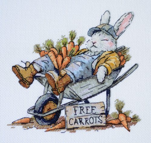 AH288 Free carrots 20x18 cm