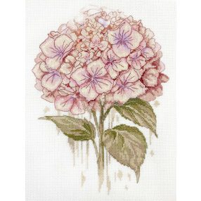 AH309 A Fragile Bloom 19x27 cm