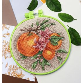 AHM076 Citrus notes 17x17 cm