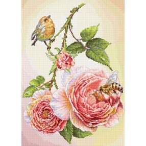 B7053 Reggeli 25x35 cm