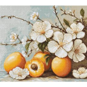 B7062 Sárgabarack virágzás 25,5x22 cm