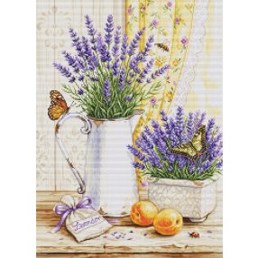 B7063 Levendula illata 29x40 cm