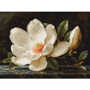 B713 Harmatos magnólia 38x28 cm