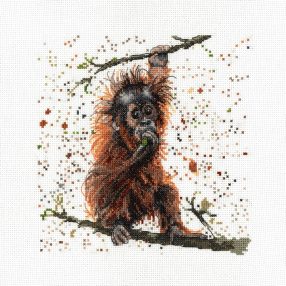BMCS11 Otis The Orangutan - Bree Merryn 20x20 cm