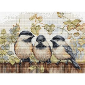 BU5066 Cinkék a kerítésen 24x17,5 cm