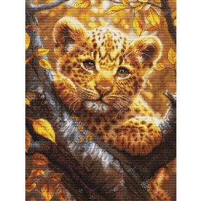 BU5068 Leopárd kölyök napkeltekor 25x34 cm