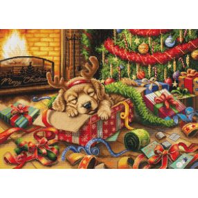 BU5079 Télapó rosszcsontja 44x32cm