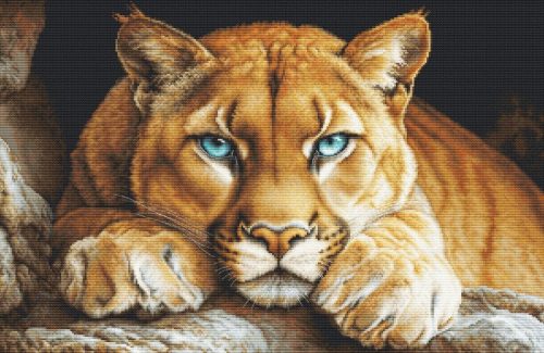 BU5081 The Wild Spirit 48x32cm
