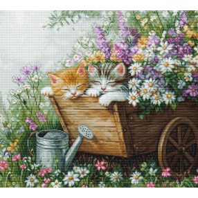 BU5093 Alvó cicák 33x30 cm