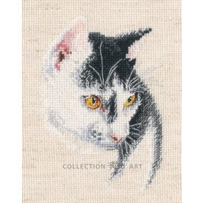 C423 Fascinating 8,5x12 cm