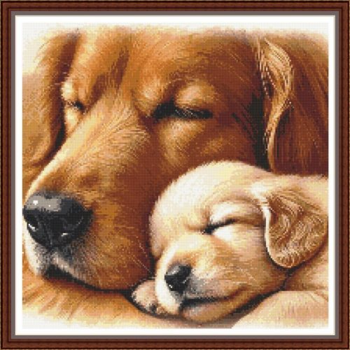 CRC - Golden Retriever Family
