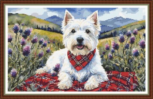 CRC - Scottish Tartan Westie