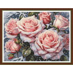 CRC - Havas rózsák